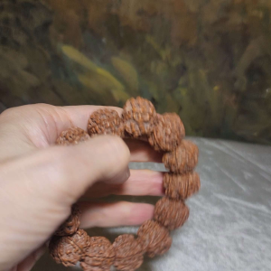 Gegegems 22+ to 23mm+ premium Nepal Rudraksha dense high natural oil content Honeycomb Double Dragons 6 Mukhi bracelet