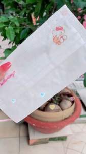[SET 10 cái] Khẩu trang HOẠT HÌNH SANRIO [NGƯỜI LỚN]-CHẤT LỤA MỊN