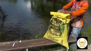 (1BAG PER ORDER) 20KG Makanan Ikan Talapia Dan Ikan Air Tawar ( Sesuai juga untuk umpan pancing ) BTE8 Outdoor