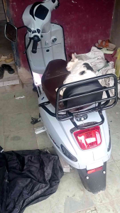 Sandaran Jok Belakang Vespa Sprint Matic Primavera Lx S Motor Listrik Uwinfly T3 Super T3 Pro