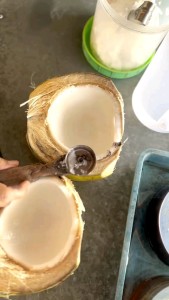 Kerokan Kelapa Muda Bulat Stainles