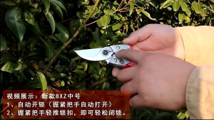 Alat Bonsai dan Berkebun Gunting Dahan ARS VS 8Z Japan Original