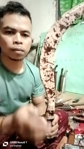 Sabuk Multifungsi Total 50 cm Bhn Baja Per