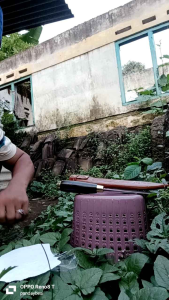 Pisodapur Multifungsi PB 18 cm Bahanper: Alat Memasak Multi Guna