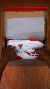 Sepatu Futsal Apha Res Publica | Sepatu Futsal Dewasa