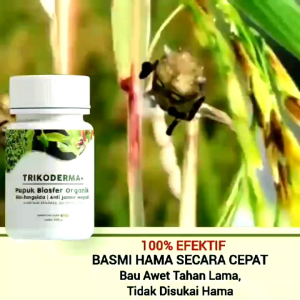 PALING LARIS PUPUK TRIKODERMA Fungisida-Tricoderma Plus Pupuk Biosfer Anti Jamur Anti Layu