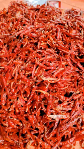 1Kg Cabe Rawit Teja Kering Impor [C] MEDIUM