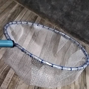 เทียบกัน กระชอนตักปลาขนาด 10x17cm รอบวง10 นิ้ว สำหรับตักปลากัด