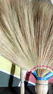 Walis tambo BIKOL