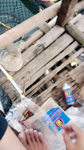 Essency Pengumpul Ikan Penambah Nafsu Makan Ikan