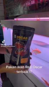 BEST PRODUCT pelet ikan oscar predator 100gr | pakan ikan | makanan ikan oscar