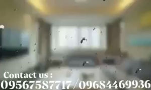 Original Aerosole Insecticides: Safe Household Insecticides & Effective Pest Control