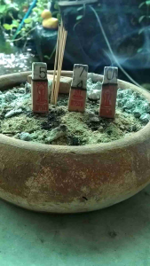 ธูปไอ้ไข่ 100ชิ้น พร้อมคาถาบูชาฟรี ธูปไอ้ไข่ของแท้ ผ่านพิธีปลุกเสกไอ้ไข่วัดเจดีย์จังหวัดนคร ศรีธรรมราช ตัวเลขชัดเจน3หลัก