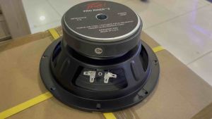 Speaker Component PRO RIDER 8" 300 Watt