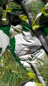 Benih Kangkung Daun Sempit & Bibit Kangkung Unggul Bambu Garuda