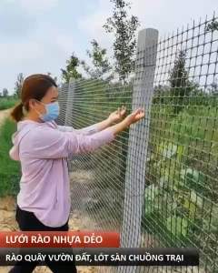 lưới nhựa ô lưới 2cm cao 1.5m dài 45m rào vườn-lưới quây chuồng gà-làm sàn vịt-chịu nắng mưa 10 năm