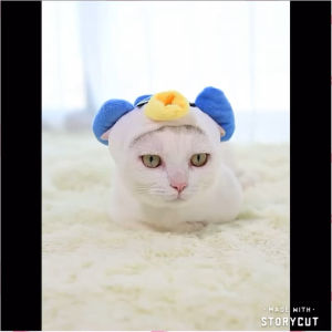 [READY STOCK] Cute Pet headwear Pet Headgear Pet Headdress Dog Cat Hat Head Cover | 宠物头套帽子发箍 猫狗搞怪帽子