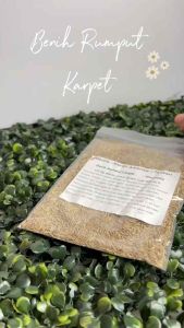 Saverstore 100G Philippine Bermuda Cow Grass Taiwan Seeds Grass Seed Benih Rumput Carpet Biji Benih 草坪种子四季青马尼拉百慕大草坪100克