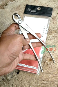 Alat Bonsai Catok Bonsai Cembung SMALL Ryuga Stenlis RS 09 ukuran 18 cm