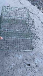 Lồng bẫy cua Rập đặc cua (40cm x 60cm x 22cm) móc gài inox sườn kẻm 4li Mắt lưới 22cm(45 fân)