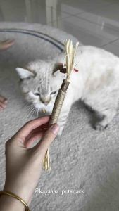 Cat Dental Stick Molar Teeth Polygonum Wooden Stick Tooth Grinding Stick Wood Celestial Cat Toy Fresh Breathe 猫咪木天蓼磨牙棒猫玩具自嗨解闷耐咬猫薄荷球逗猫棒猫咪用品