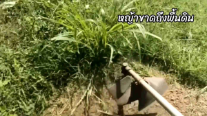 2 ชั้น 3 มิลยาว 17 นิ้ว เอ็นตัดหญ้า ดี เหนียวกว่าเดิม ไม่รวมหัวใส