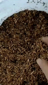 Sekam Fermentasi 1kg / Sekam Lapuk / Media Tanam Siap Pakai / LumbungTanam