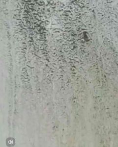 DUNG DỊCH tẩy nấm móc trên tường gỗ máy giật tu lạnhgia dụng chăn ga...tẩy vết nấm móc mạnh mẽ hiệu quả