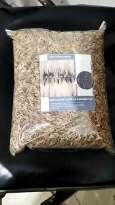 PADI KETAN HITAM RANGGEUYAN 250 GRAM PADI KETAN HITAM GRENDEL ASLI BERTANGKAI