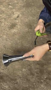 Còi chim. Còi hơi tiếng chim loa sắt chất lượng. 12/24v Còi Chim Điện 12V 24V Bộ Còi Và Chân Bắt Cho Xe Phụ Tùng Còi Hơi Chất Lượng Cao Còi Hơi Điện Từ Trung Quốc - Lazada