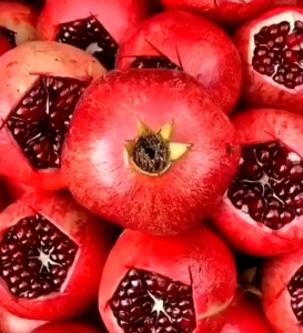 8 BUTIR BIJI/BENIH TANAMAN DELIMA MERAH (Masa berkecambah 30-40 harian)