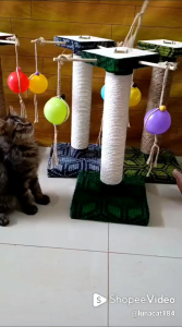 Cakaran kucing / garukan kucing (cat scratcher) tipe 222240