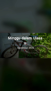 BONCENGAN SEPEDA MTB DEPAN ANAK MTB SELY