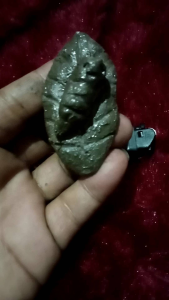 koleksi wesi kuning asli nempel daun wesi towo