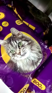 BOLT PAKAN KUCING 800G MAKANAN KUCING 5PCS BOLT 800G BUNDLING 5 PACK 800G PAKAN KERING KUCING BOLT MAKANAN KERING KUCING pakan kucing kering