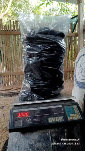 ถ่าน ถ่านหุงต้ม