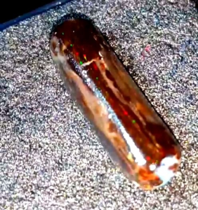 Batu Cincin Black Opal Sempur Ruyung Jarong Natural Bahan Ranting