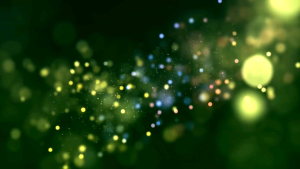 โซเล่พารา พีเมี่ยม1ลิตรสูตรดูดซึมไว (น้ำแดงใส)ฝาเขียว รักษา+ป้องกันเชื้อรา บำรุงต้นยาง ยางไหลดี เบอร์1เรื่องยาทาหน้ายาง ชาวสวนมืออาชีพเลือกใช้