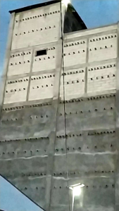 Suara Panggil Walet Sibotak Original (Terbaik)