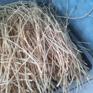 Akar Alang Alang Obat Herbal Tradisional 500Gram