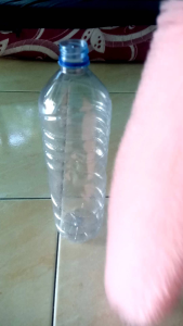 Sikat Botol Kaca Plastik Stainless Alumunium Sikat Termos Kecil Sikat Bahan Lembut Halus