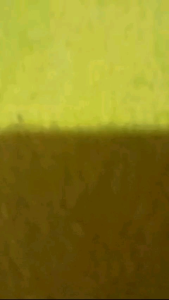 Sepatu Hitam Putih Terbaru Busa Tebal Lidah Tebal Skater Sepatu Sekolah/Santai Pria