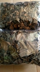 Benalu kering benalu kopi 500 gram