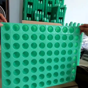 ถาดเพาะเมล็ด บางส่วน 80 หลุม ปลูกผักไฮโดรโปนิกส์ สีเขียว รูปแบบหนา ยกเลิก A