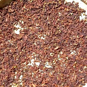 Cengkeh Kering 100% Asli Organik: Bumbu Masak Herbal & Rempah Jamu
