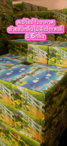 สเปรย์หอมดับกลิ่น มี 6กลิ่น กุหลาบ มะลิ เลม่อน ลาเวนเดอร์ ส้ม ลิลลี่ สเปรย์ปรับอากาศ สเปรย์ดับกลิ่น