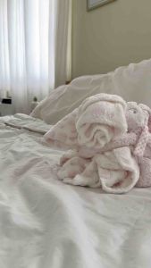 Bollie Baby Snuggle Blanket with Plush Toy: A Comfortable Baby Blanket Solution
