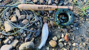 Mồi câu cá mương cá rô phi mồi bọ giả câu cá