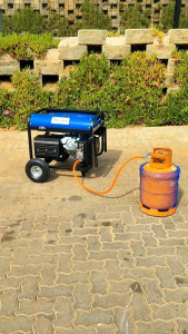 CARBURETTOR LPG TYPE GENSET