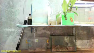 USB KAMERA SPY CAM HIDDEN MINI USB CHARGER FULL HD1080P Camera USB Charger Adeptor ORY